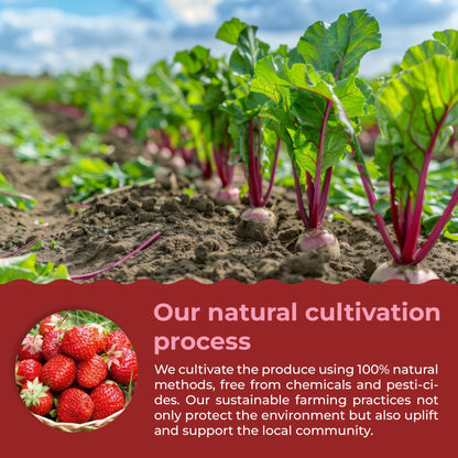 eHerbal Superfood Freeze-Dried Powder – Plant-Based Drink Mix, 15 Sachets