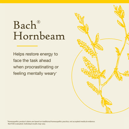 Bach Original Flower Remedies Hornbeam - Procrastinate Less | 20mL Dropper