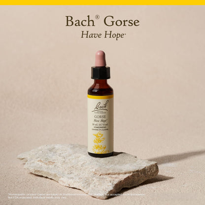 Bach Original Flower Remedies – Gorse (Have Hope) – Emotional Balance, 20mL Dropper – Vegan, Gluten Free, Sugar Free