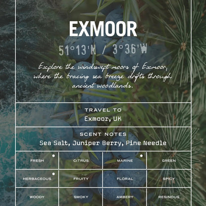 Exmoor Scented Candle - HealVia LimitedHealVia LimitedExmoor Scented Candle