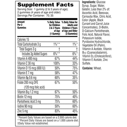 Flintstones Children's Complete Multivitamin Gummies - 70 Count