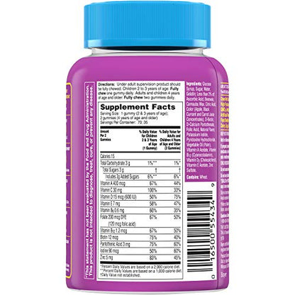 Flintstones Children's Complete Multivitamin Gummies - 70 Count