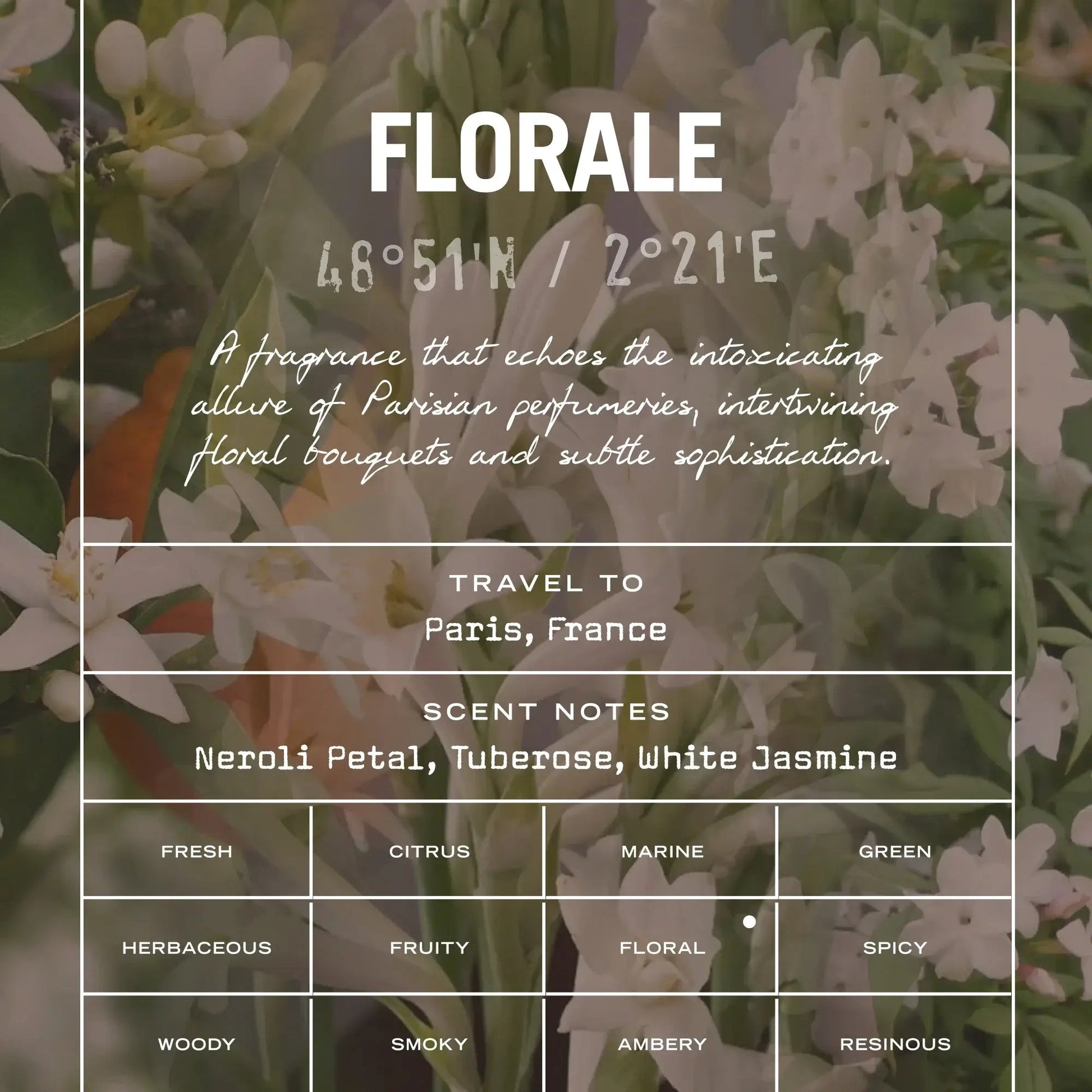 Florale Scented Candle - HealVia LimitedHealVia LimitedFlorale Scented Candle