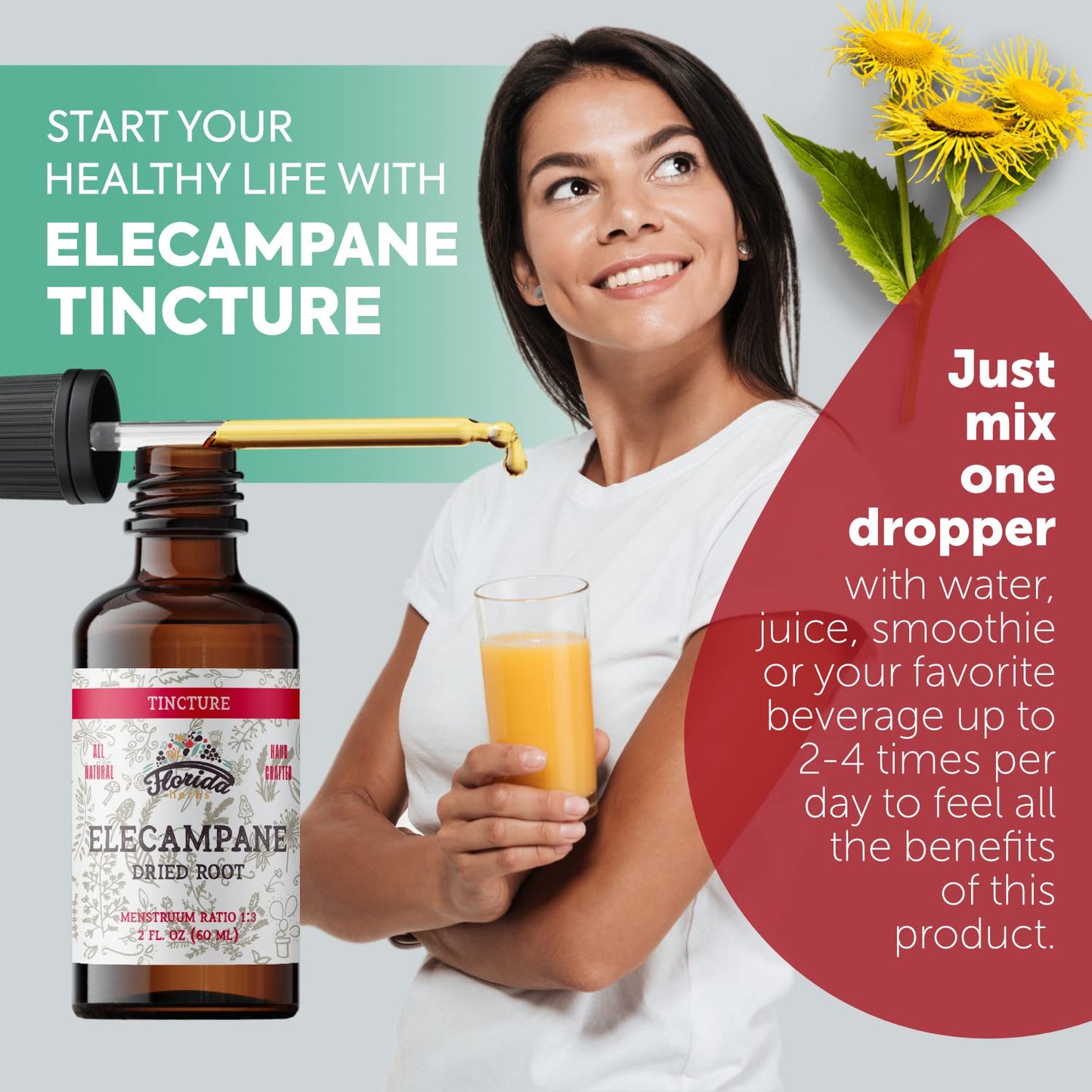 FLORIDA HERBS Elecampane Tincture Organic Elecampane Extract (Inula Helenium) Dried Root - Non-GMO 700 mg 2 oz (60 ml)