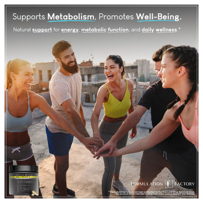 Formulation Factory Melt Mode 10-in-1 Metabolic Health & Energy Support | Green Tea, L-Carnitine, CLA, Glucomannan & More | Helps Support Appetite & Metabolism Balance | 360 Count (Pack of 3)