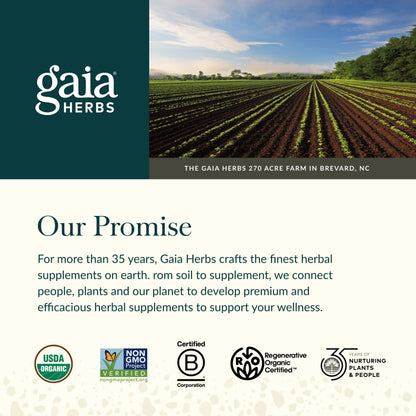 Gaia Herbs Turmeric Supreme Daily Gummies – Joint Support, Organic, 40 Gummies