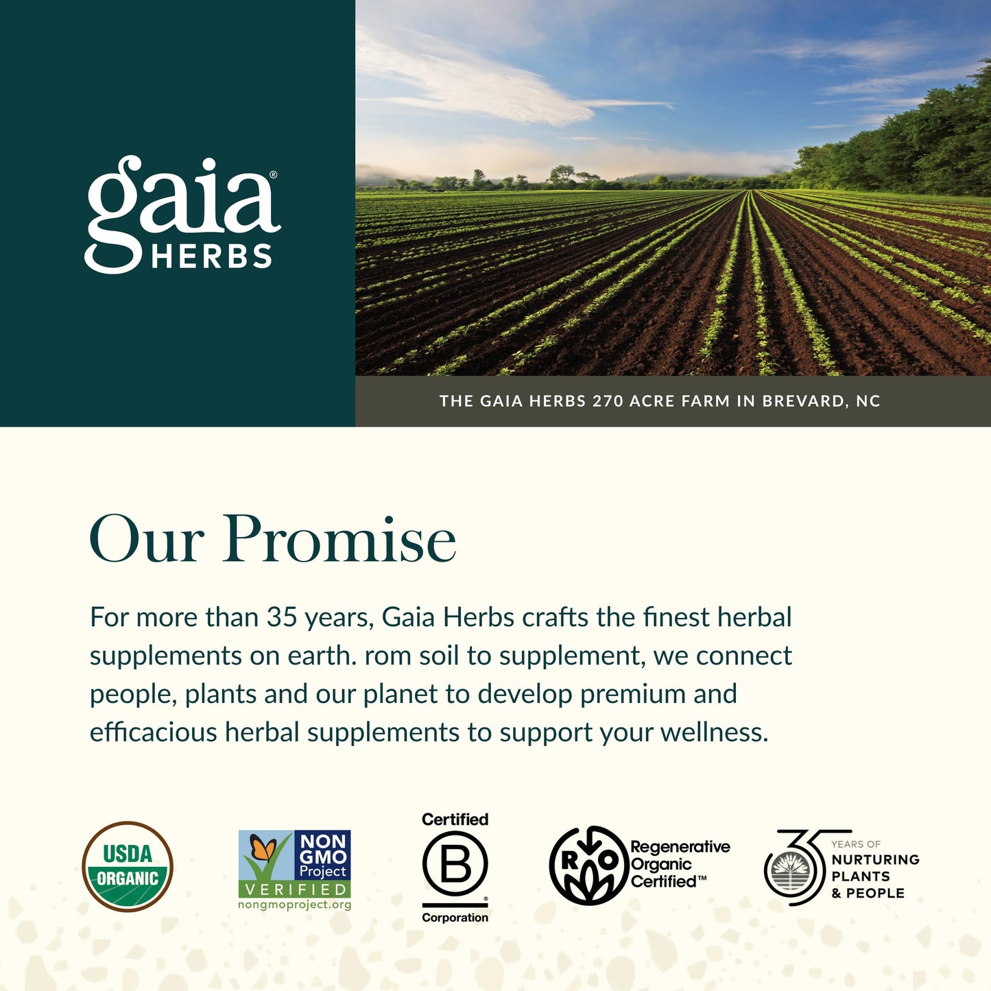 Gaia Herbs Reflux Relief - Natural Heartburn & Indigestion Support with Marshmallow Root and Herbs (45 Chewable Tablets)