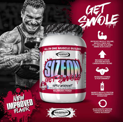 Gaspari SizeOn – Hybrid Intra-Workout Amino Acids & Creatine for Muscle Size & Recovery (3.59 lb Raspberry)