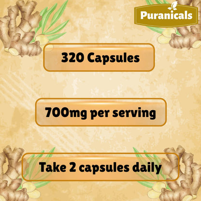 Puranicals Ginger Premium 320 Capsules – Non-GMO, Gluten Free, 700 mg per Serving, 100% Pure Ginger Root Powder