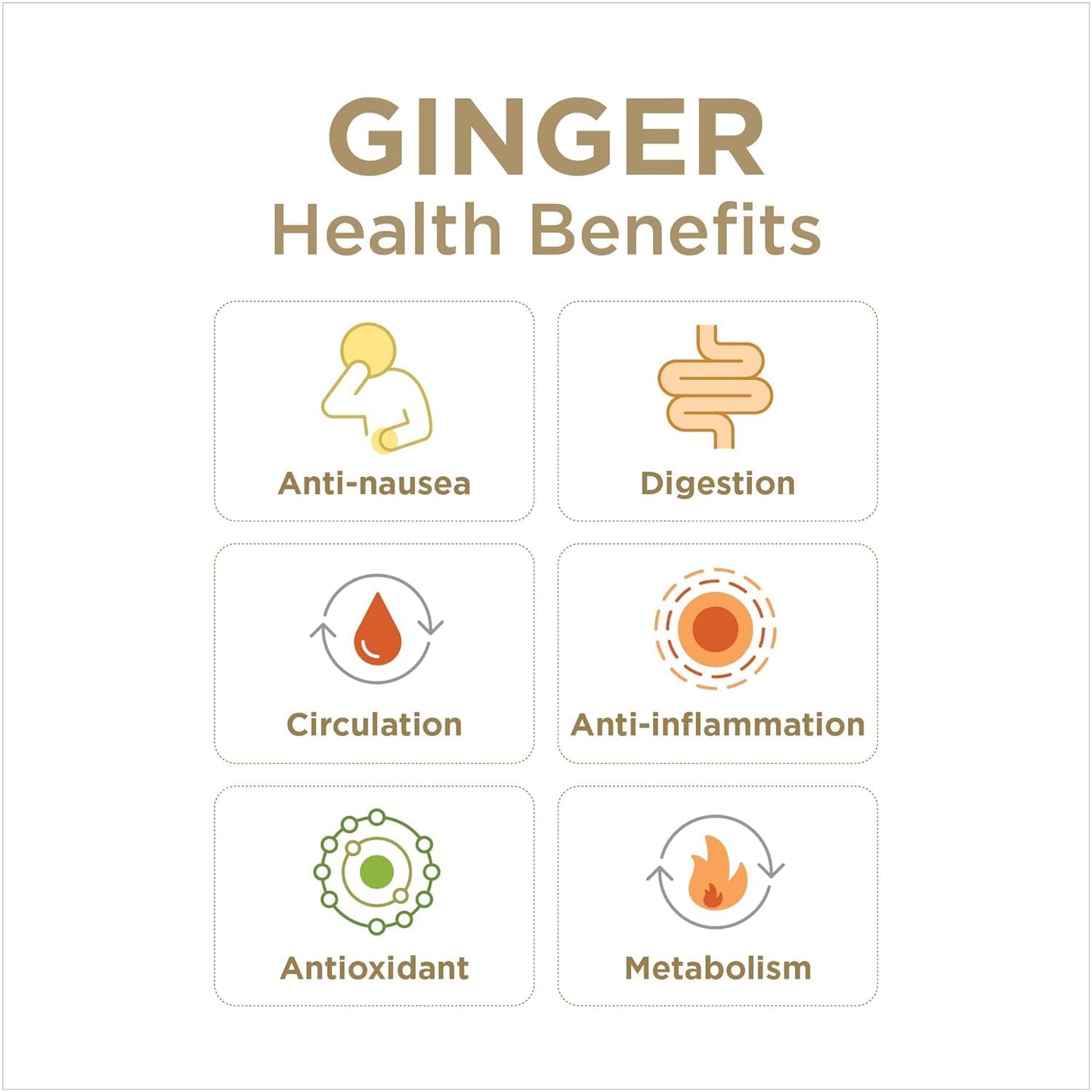 Ginger Rescue Chewable Tablets – The Ginger People | Drug Free Digestive Health, Strong Ginger Flavor, 24 Tablets