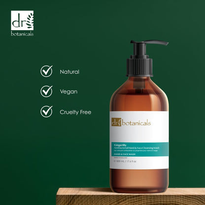 Gingerlily Antibacterial Hand & Face Cleansing Wash 500ml
