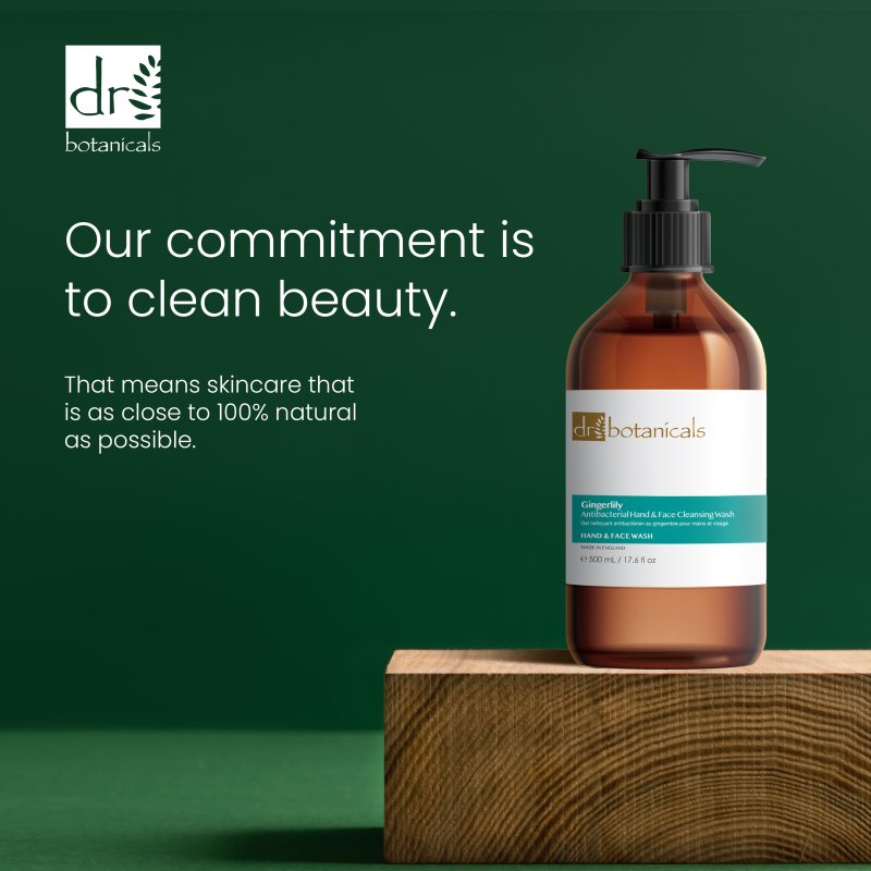 Gingerlily Antibacterial Hand & Face Cleansing Wash 500ml