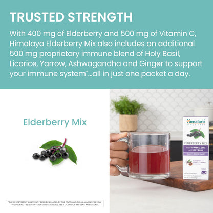 Himalaya Elderberry Mix – Immune Support Drink Mix with Elderberry, Zinc, Vitamin C & Holy Basil | 10-Pack, Caffeine Free, Gluten Free