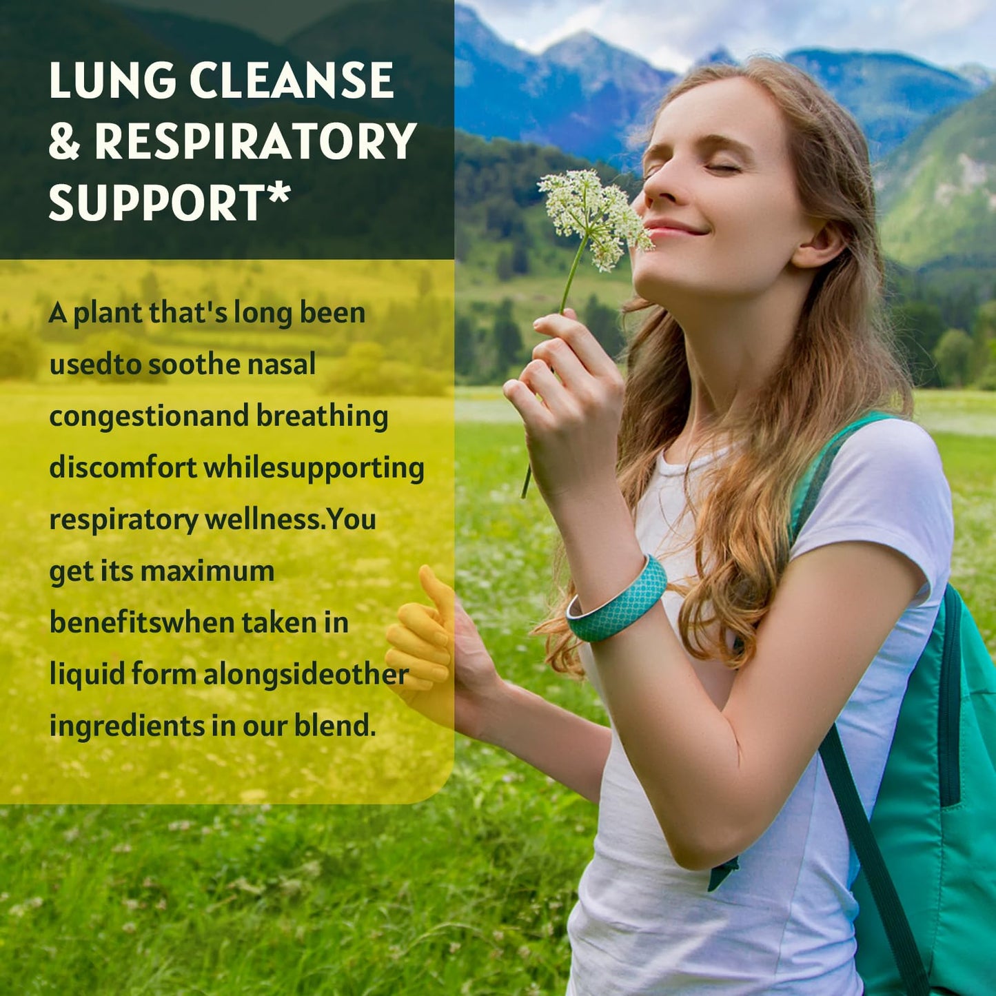 GORNVB Mullein Drops for Lungs (2 Pack) - Respiratory Support & 4 in 1 Mullein Leaf Extract | 1 Fl Oz