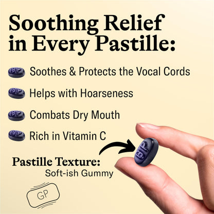 Grether's Sugarfree Blackcurrant Pastilles – Dry Mouth Relief