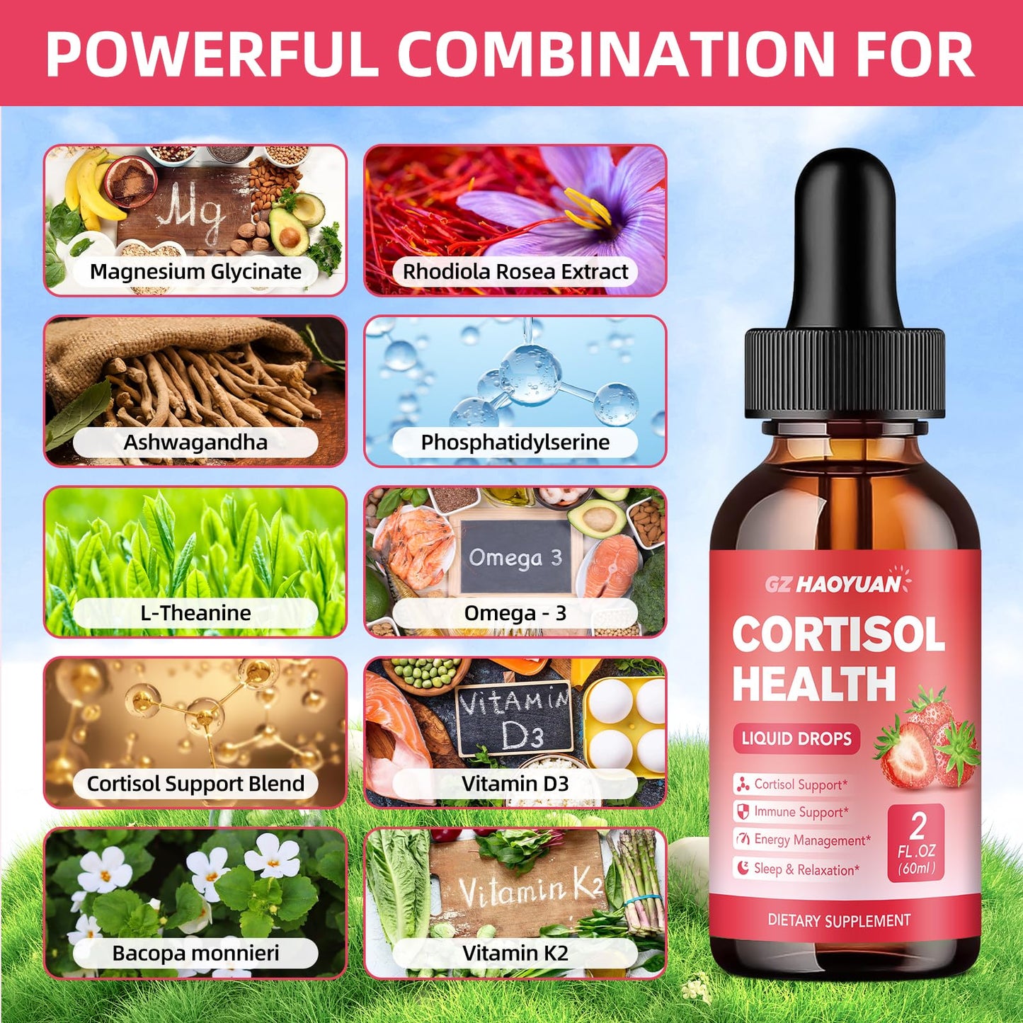 GZ HAOYUAN Cortisol Support Drops – 2 fl oz – Strawberry (Magnesium, Ashwagandha & L-Theanine)