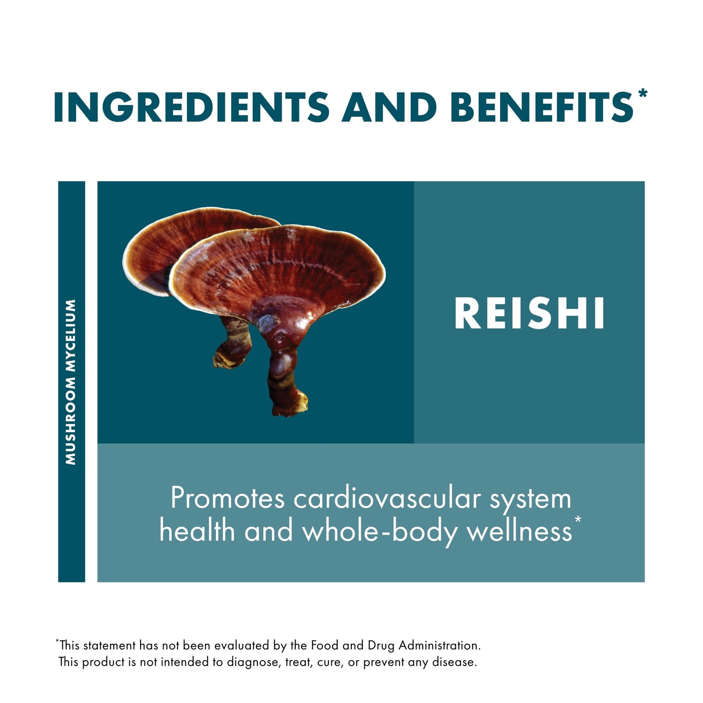 Host Defense Reishi Capsules - Immune Support, Heart Health & Energy | 30 Capsules (15 Servings)