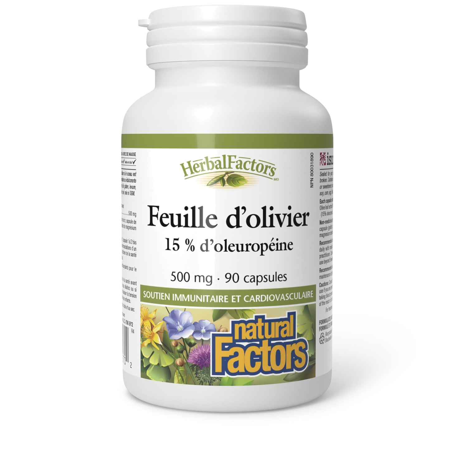 HerbalFactors by Natural Factors - Olive Leaf 500 mg | Natural Wellness Formula | 90 Capsules