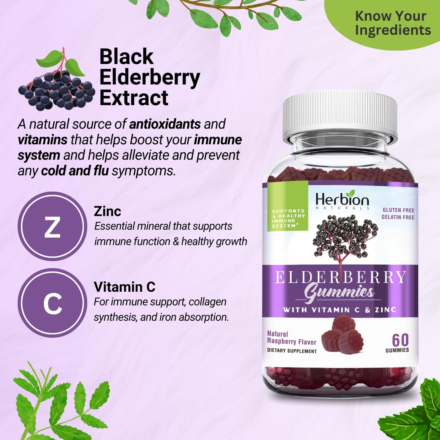 HERBION Elderberry Gummies with Vitamin C & Zinc | Immune Support, Gluten-Free & Gelatin-Free, 60 Gummies (USA Made)