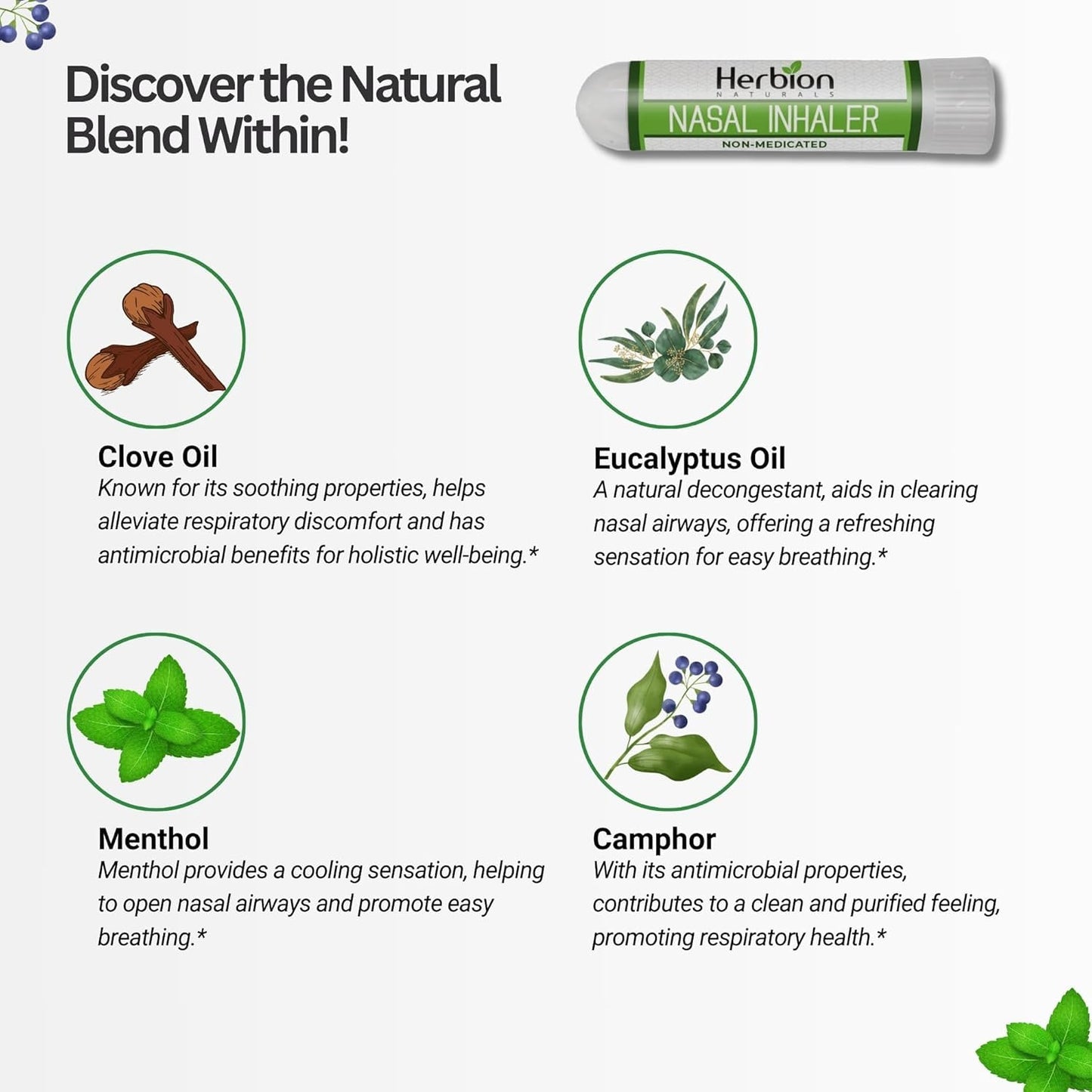 HERBION Naturals Nasal Inhaler - Non-Medicated Essential Oil Relief for Congestion & Sinus Pressure (Pack of 2)