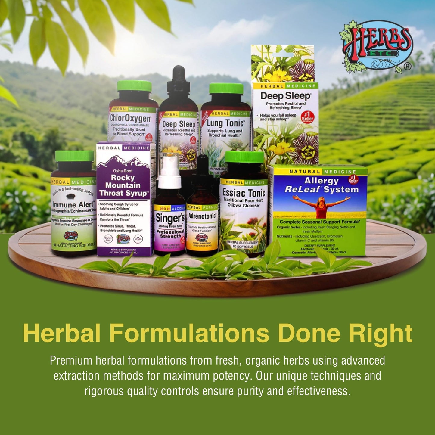 Herbs, Etc. Allergy ReLeaf System – Seasonal Allergy Support (30 Servings)