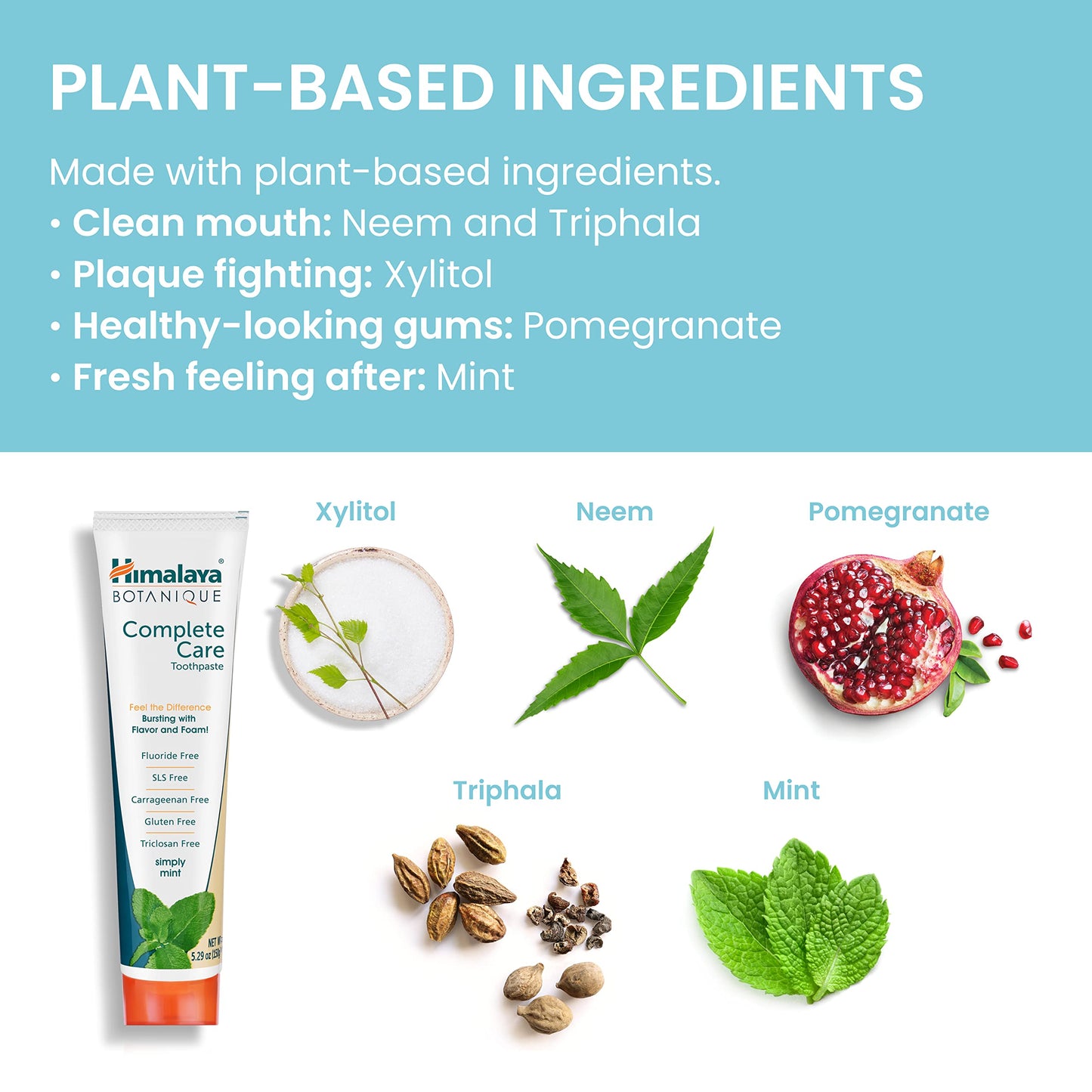Himalaya Botanique Complete Care Toothpaste – Herbal Mint, Fluoride Free, SLS Free | 2 Pack 5.29 oz