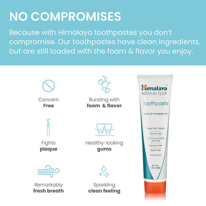 Himalaya Botanique Neem & Pomegranate Toothpaste – Mint Flavor – Fluoride Free, Vegan, SLS Free, Gluten Free | 5.29 oz