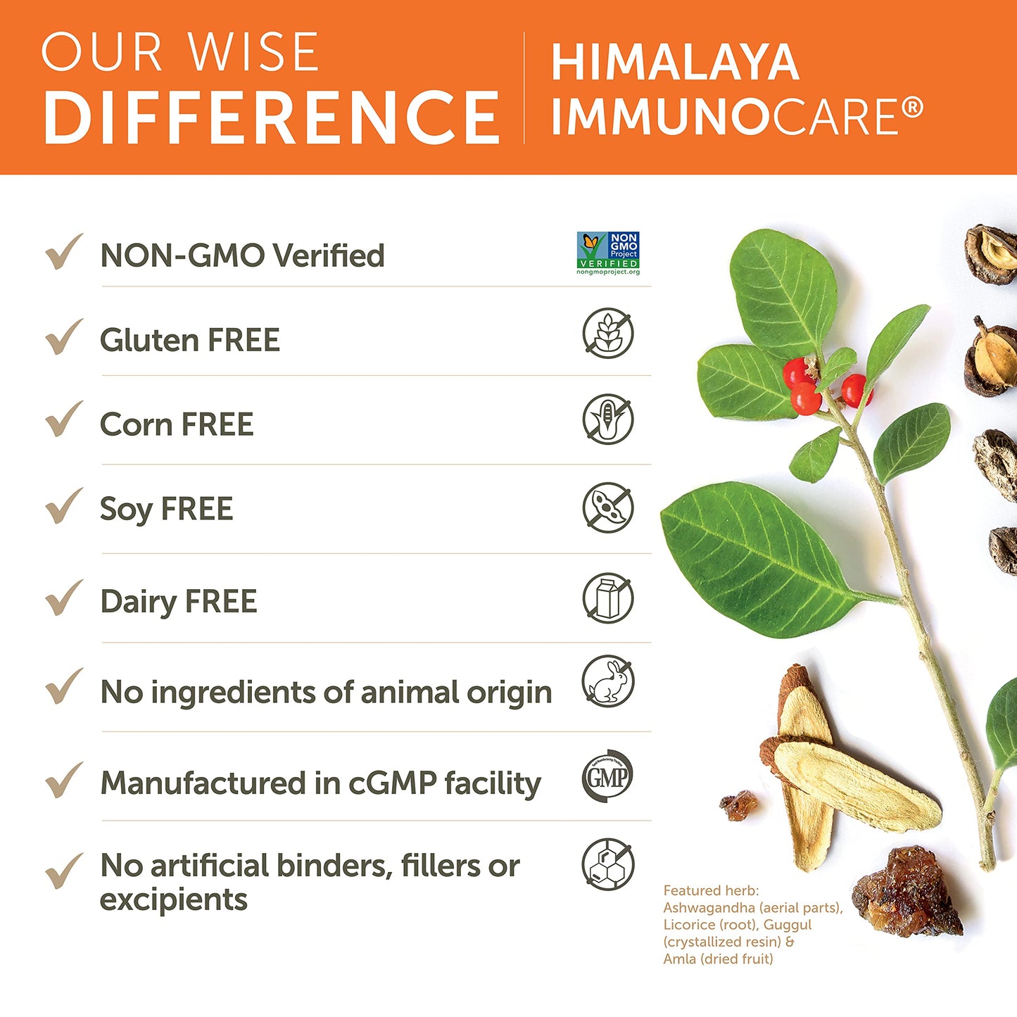 Himalaya ImmunoCare - Herbal Immune Support (Ashwagandha & Amla)