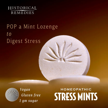Historical Remedies Stress Mints (12 Pack) | Homeopathic Lozenges for Stress & Digestion, Organic Peppermint, Vegan & Gluten-Free