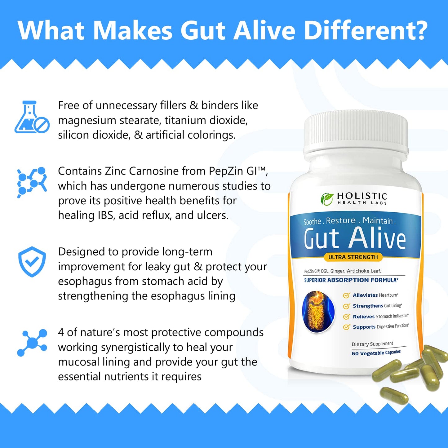 Holistic Health Labs Gut Alive – Zinc-Carnosine Digestive Support (60 Count, Pack of 2)