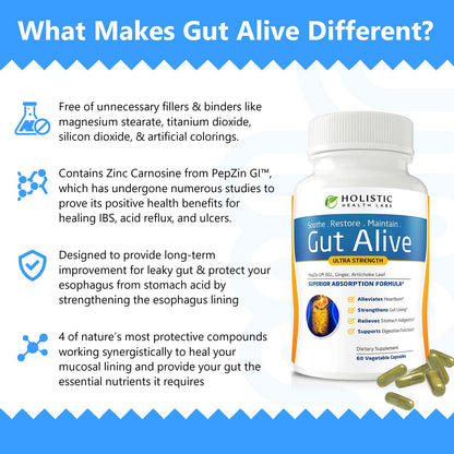 Holistic Health Labs Gut Alive – Zinc-Carnosine Digestive Support (60 Count, Pack of 2)