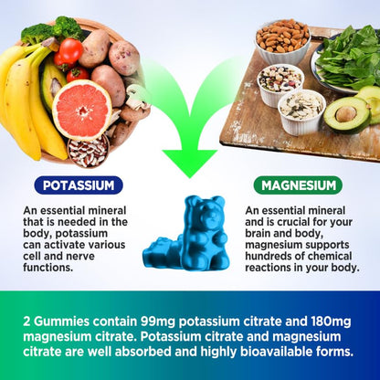 HOLLEGEND Potassium Magnesium Gummies | High Absorption Potassium Citrate 99mg & Magnesium Citrate 180mg – 60 Count