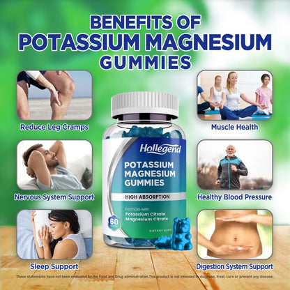 HOLLEGEND Potassium Magnesium Gummies | High Absorption Potassium Citrate 99mg & Magnesium Citrate 180mg – 60 Count