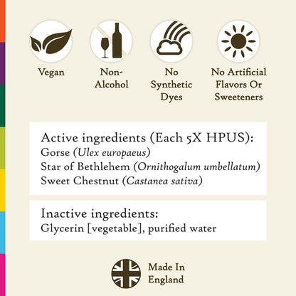 Bach Original Flower Remedies Hope & Joy Trio Kit - Non-Alcohol, 3x10mL Droppers