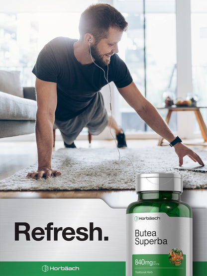 Horbäach Butea Superba Root 840mg | 90 Capsules | Male Performance | Non-GMO, Gluten-Free