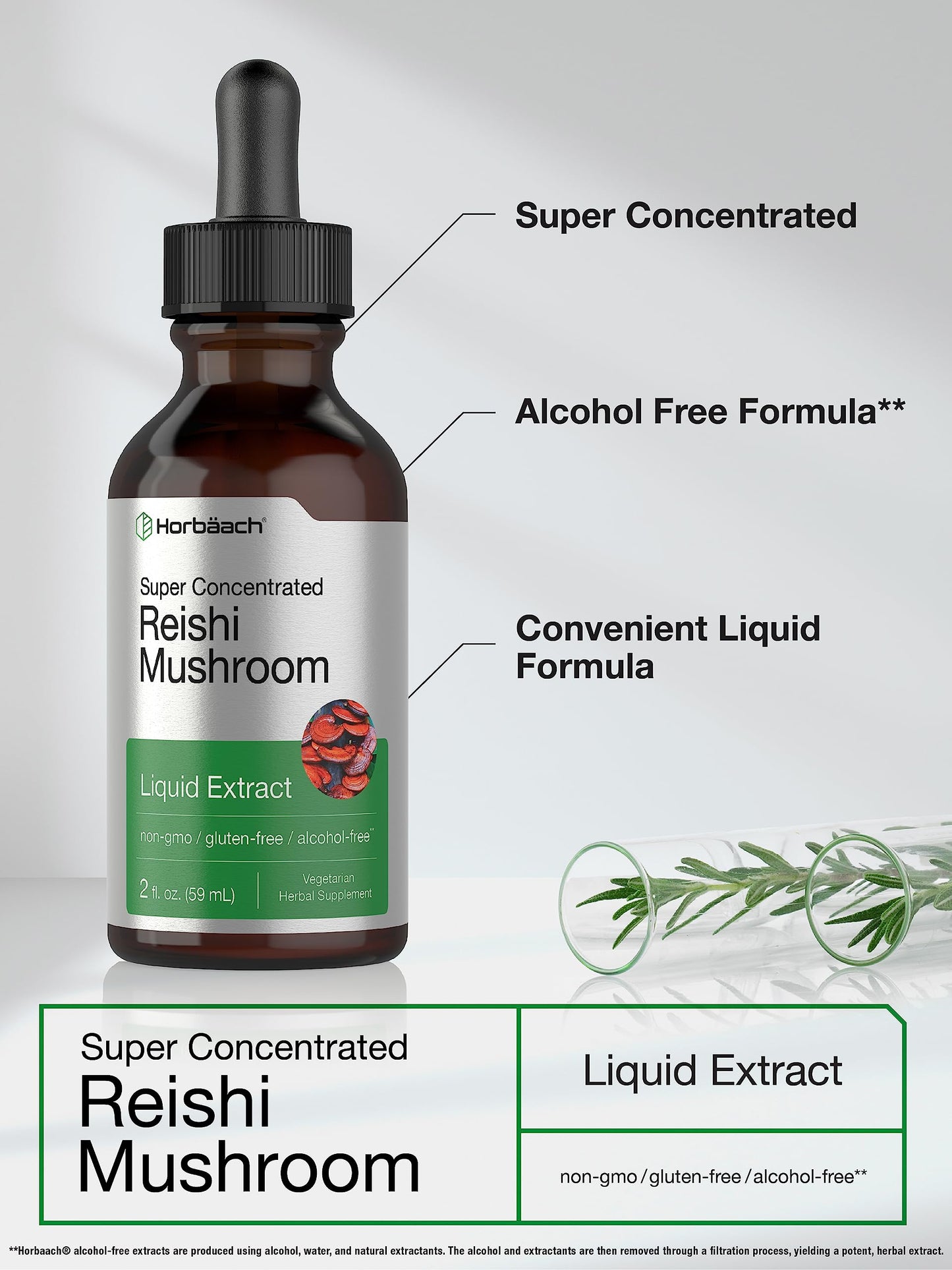 Horbäach Reishi Mushroom Extract Tincture – 2 Oz | Ganoderma Lucidum | Vegetarian, Alcohol Free, Non-GMO, Gluten Free