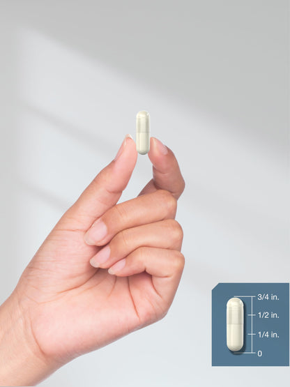 Horbäach L-Cysteine 1000mg – 100 Powder Capsules | Non-GMO, Gluten Free