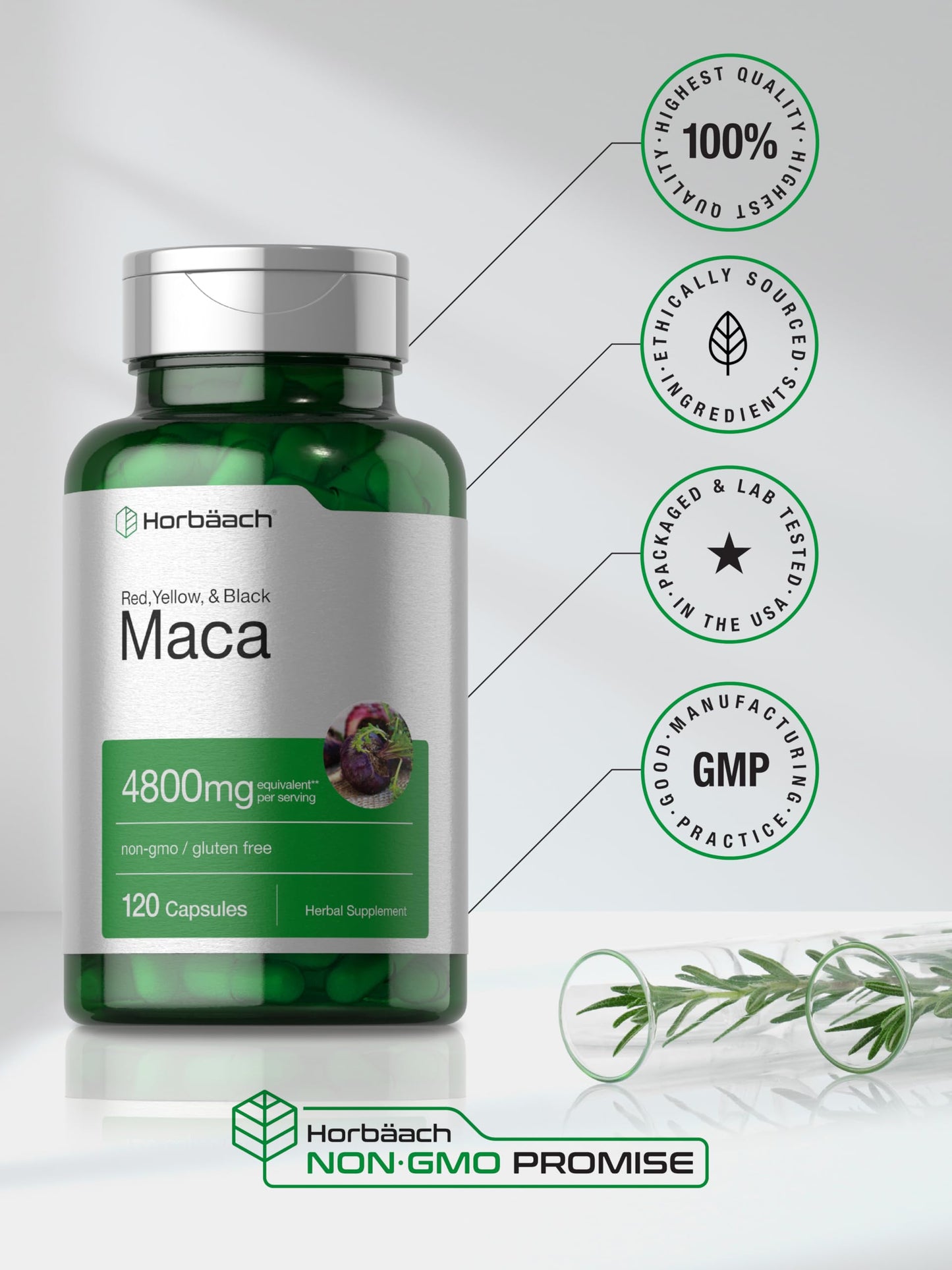 Horbäach Maca Root Capsules for Men and Women | 120 Pills | High Potency Extract | Non-GMO & Gluten Free