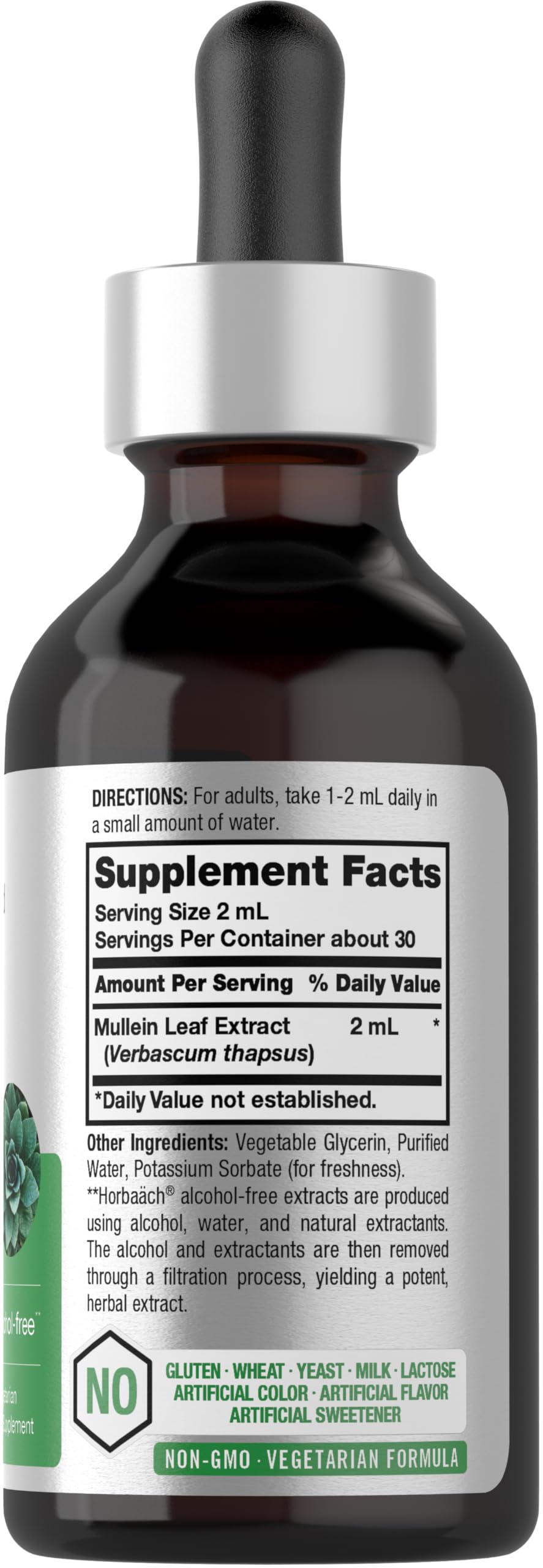 Horbäach Mullein Leaf Extract Drops – Alcohol Free, 2 fl oz | Vegetarian, Non-GMO & Gluten Free