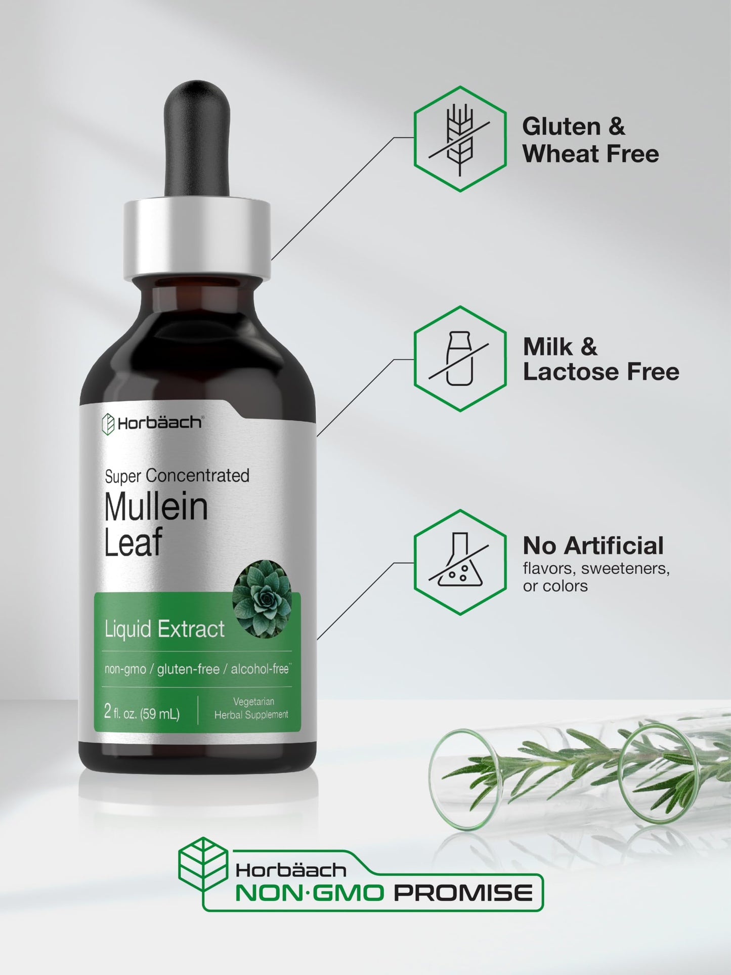 Horbäach Mullein Leaf Extract Drops – Alcohol Free, 2 fl oz | Vegetarian, Non-GMO & Gluten Free