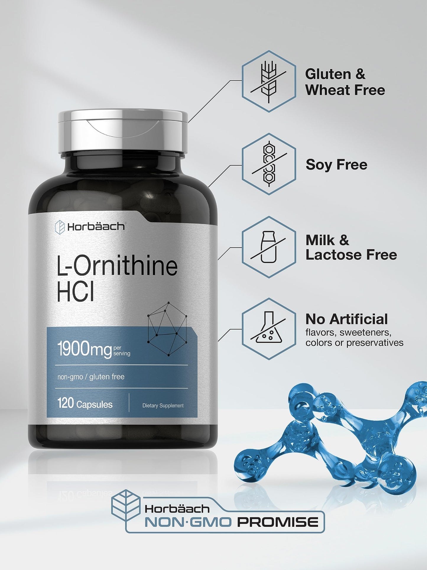 Horbäach L-Ornithine HCl 1900 mg | 120 Caps | Non-GMO & Gluten Free