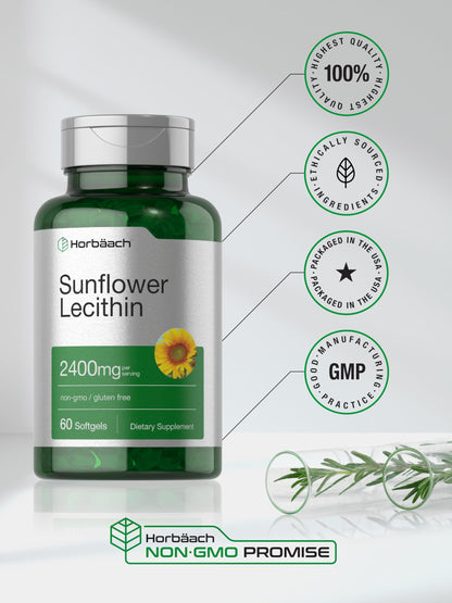 Horbäach Sunflower Lecithin Softgel Capsules 2400mg | 60 Softgels | Non-GMO Gluten Free