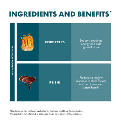 Host Defense CordyChi Extract - Energy & Immune Support (Cordyceps & Reishi)