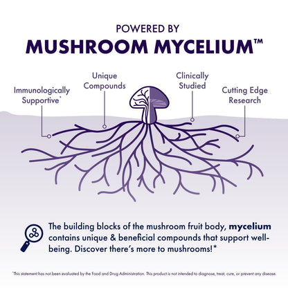 Host Defense Mushrooms Lion's Mane – Brain Health & Focus Capsules (30 Capsules / 15 Servings)