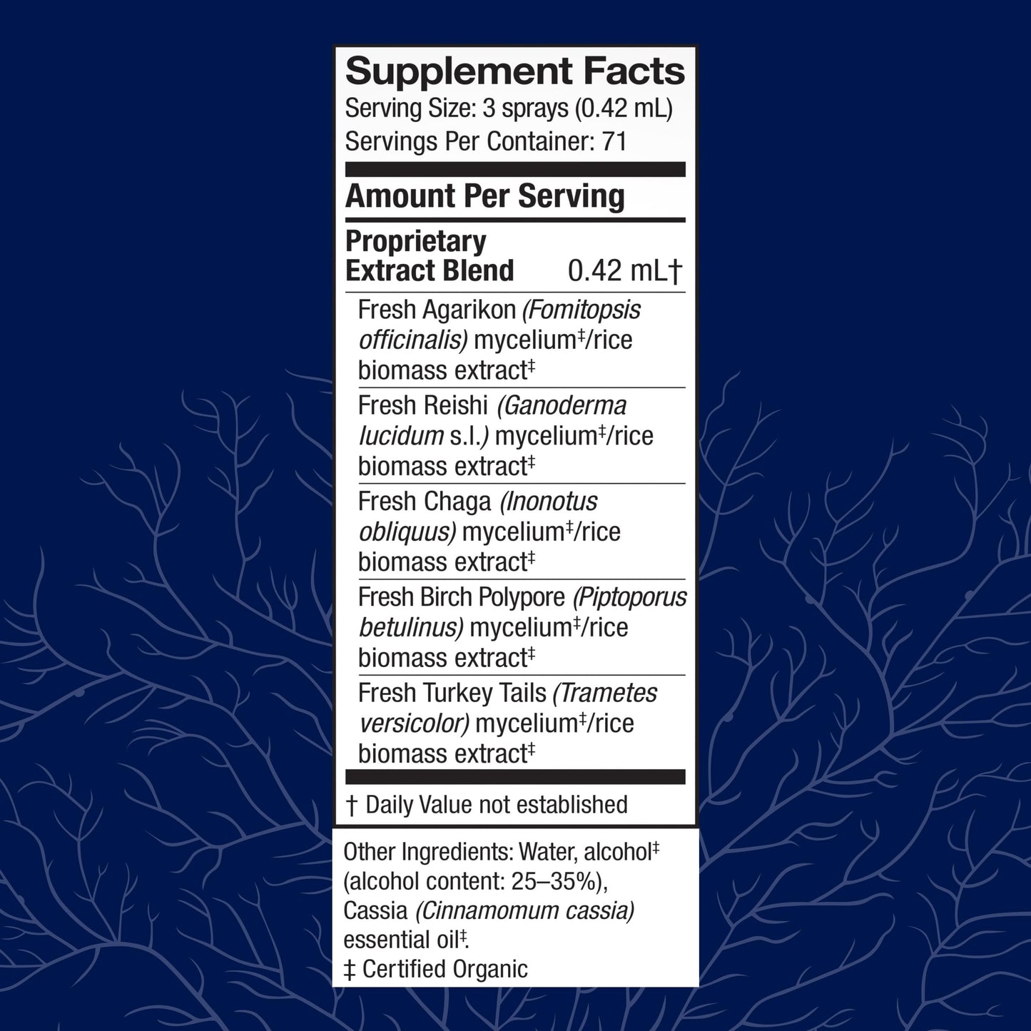 Host Defense MycoShield Throat Spray - Immune Health Support - Mushroom Supplement with Chaga, Reishi, Turkey Tail - Cinnamon Flavor - 1 fl oz (71 Servings)