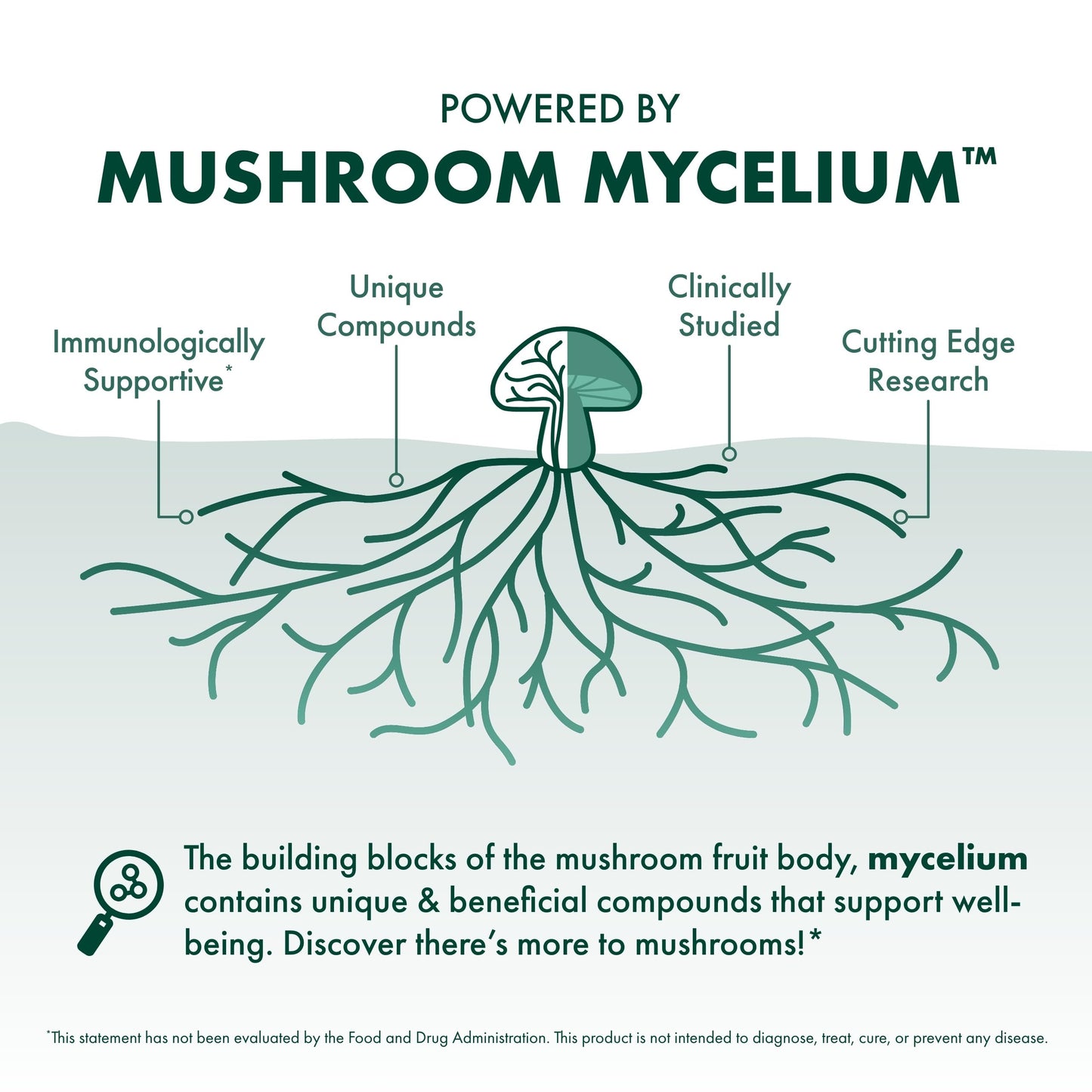 Host Defense MycoBotanicals Capsules – Reishi, Chaga & Maitake Mushroom Supplement (60 Capsules, 30 Servings)