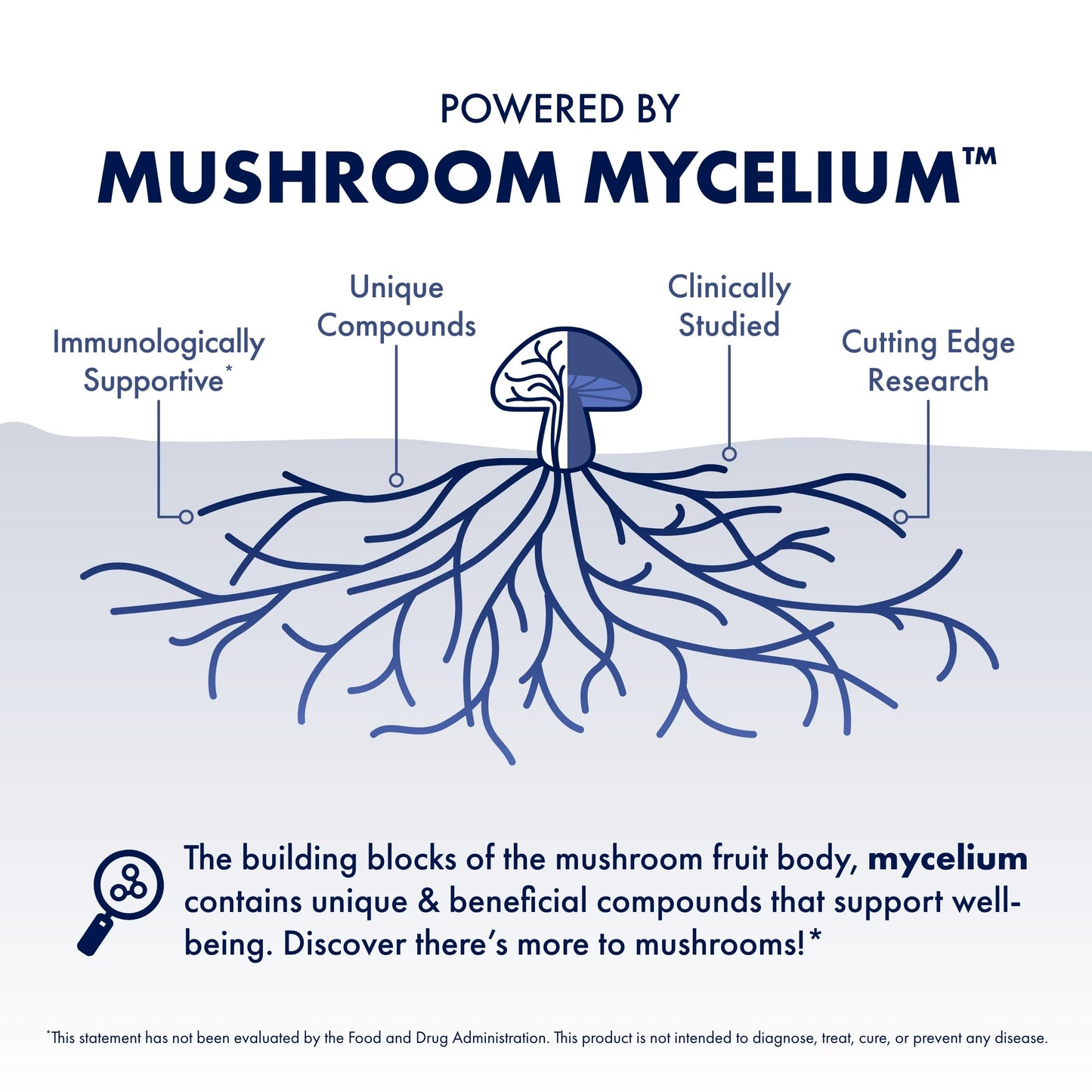 Host Defense MycoShield Throat Spray – Immune Support Mushroom Formula (Chaga, Reishi, Turkey Tail, Licorice Root) 1 oz