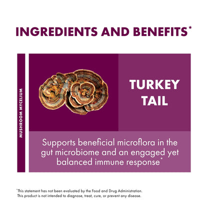 Host Defense Turkey Tail Extract – Digestive Health and Immune Support