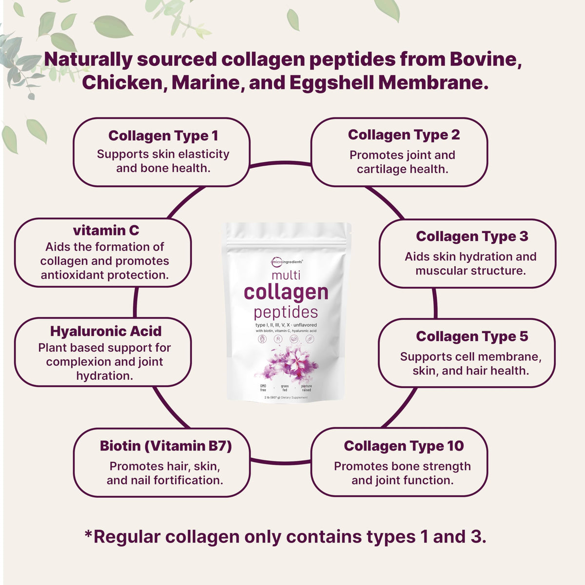 Micro Ingredients Multi Collagen Peptides Powder 2lb – Full Spectrum Types I, II, III, V, X + Hyaluronic Acid, Biotin & Vitamin C | Unflavored | Keto & Paleo | Non-GMO