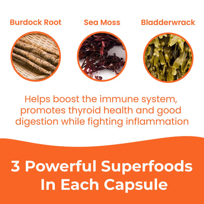 INFINITE AGE 3-Pack Sea Moss Capsules 1250mg – 180 Vegan Capsules Each, Made in USA